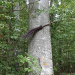 Bildschirmfoto 2019-09-28 um 19.49.20