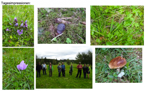 Bildschirmfoto 2020-09-14 um 22.05.20